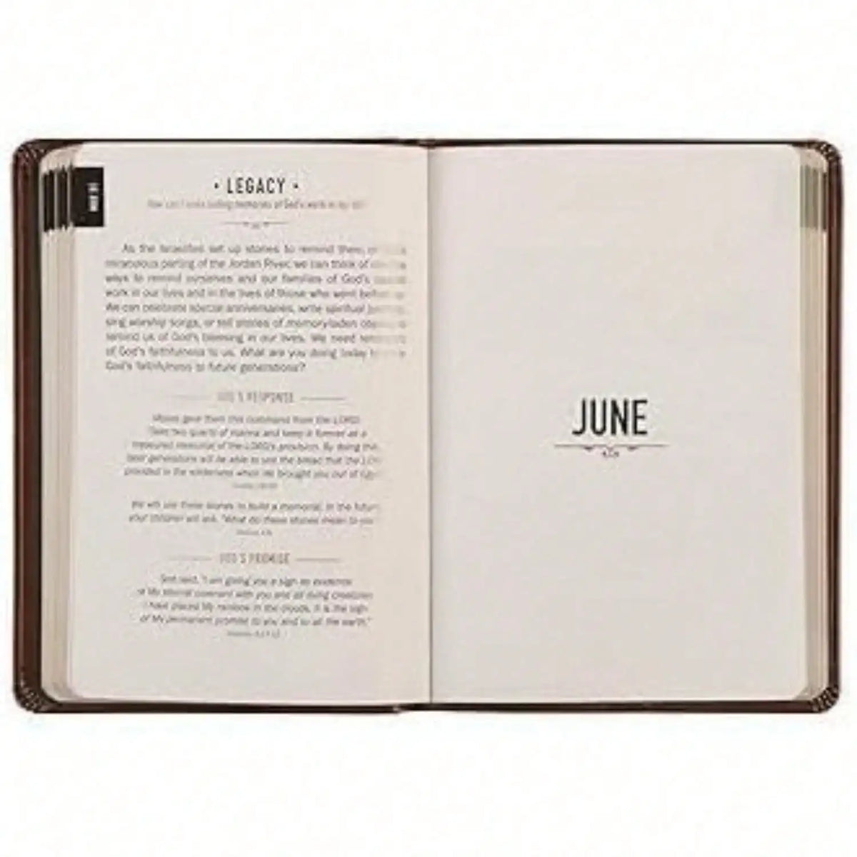 Inspirational Daily Prayer Journal And Tracking Diary