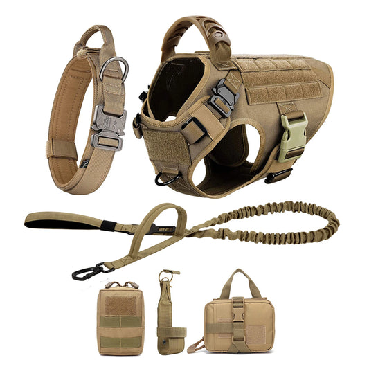 Padded Nylon Dog Harness And Leash Set For Outdoor Walks