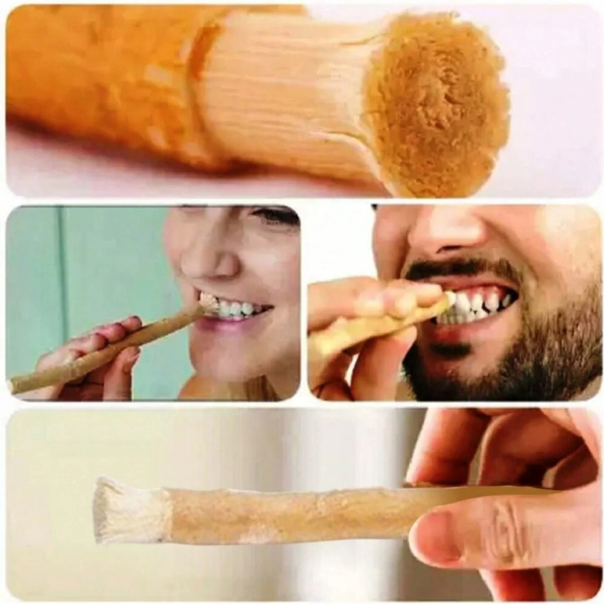 Miswak Mint Toothbrush Wooden Twig Traditional Oral Care for Gums