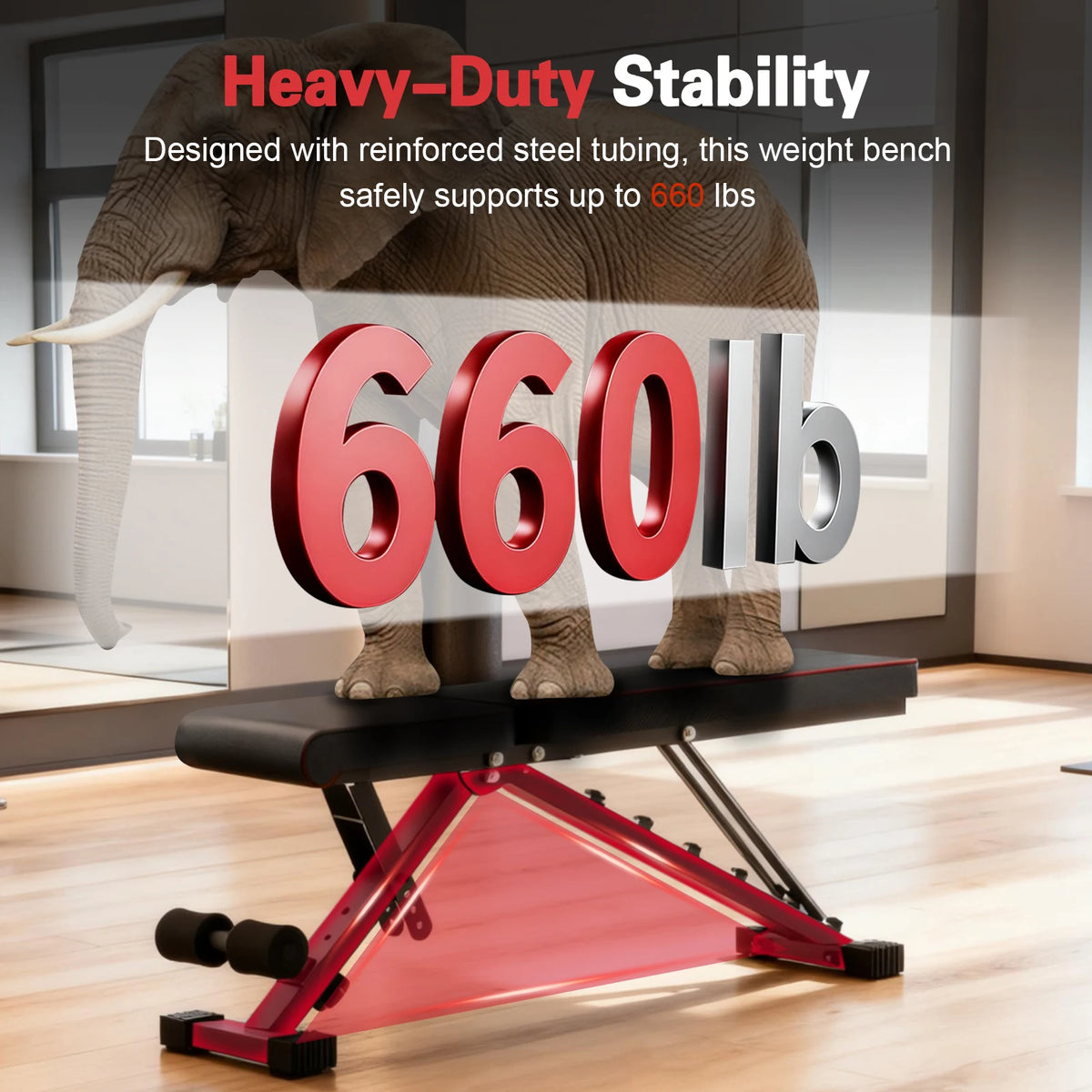 Adjustable Foldable Dumbbell Weight Bench For Full Body Workouts