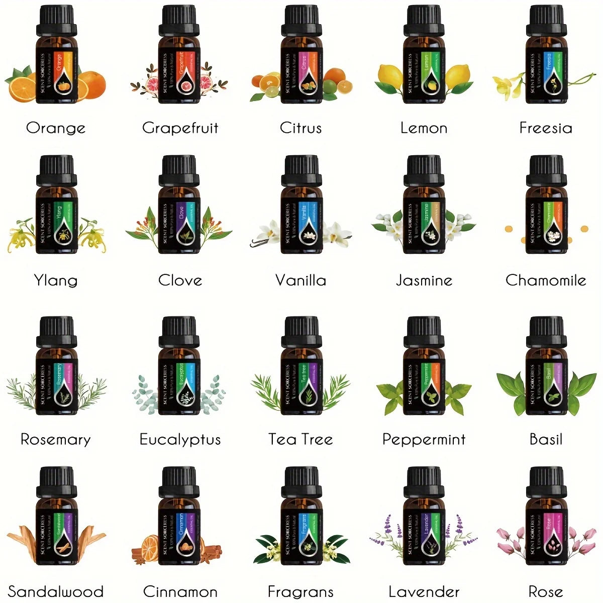 SCENT SORCERESS 20Pc Black Classic Essential Oil Set